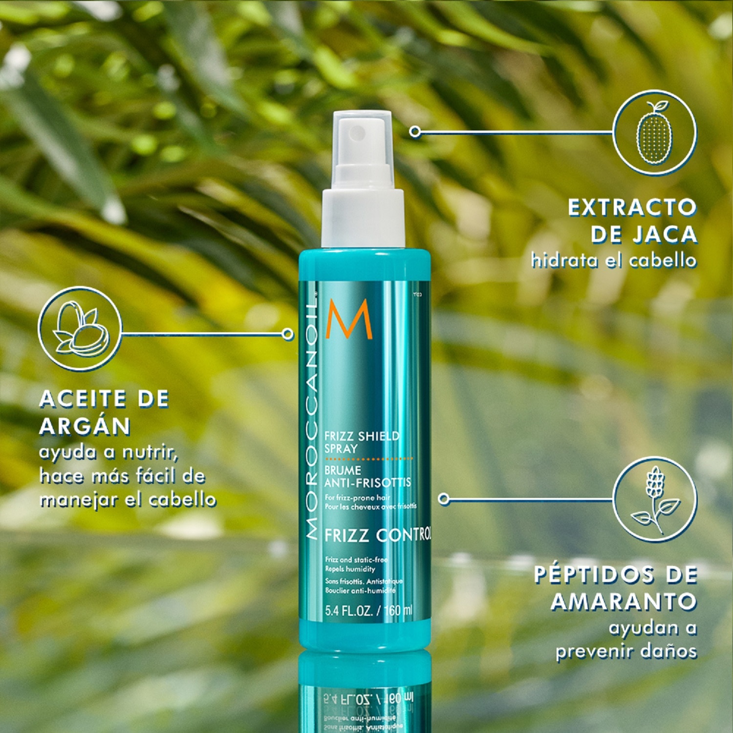 FRIZZ SHIELD SPRAY (SPRAY LIGERO ANTI-FRIZZ)